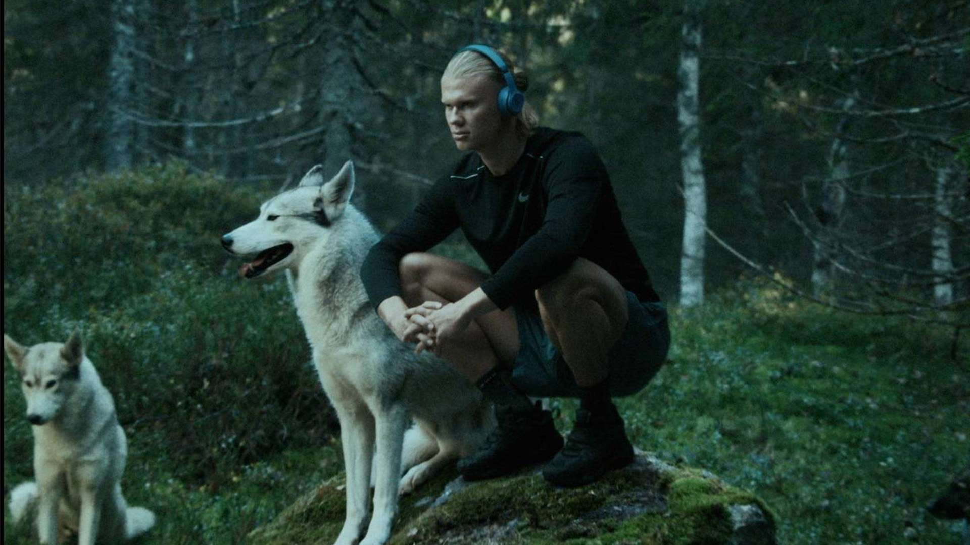 与流畅的配 与流畅的配