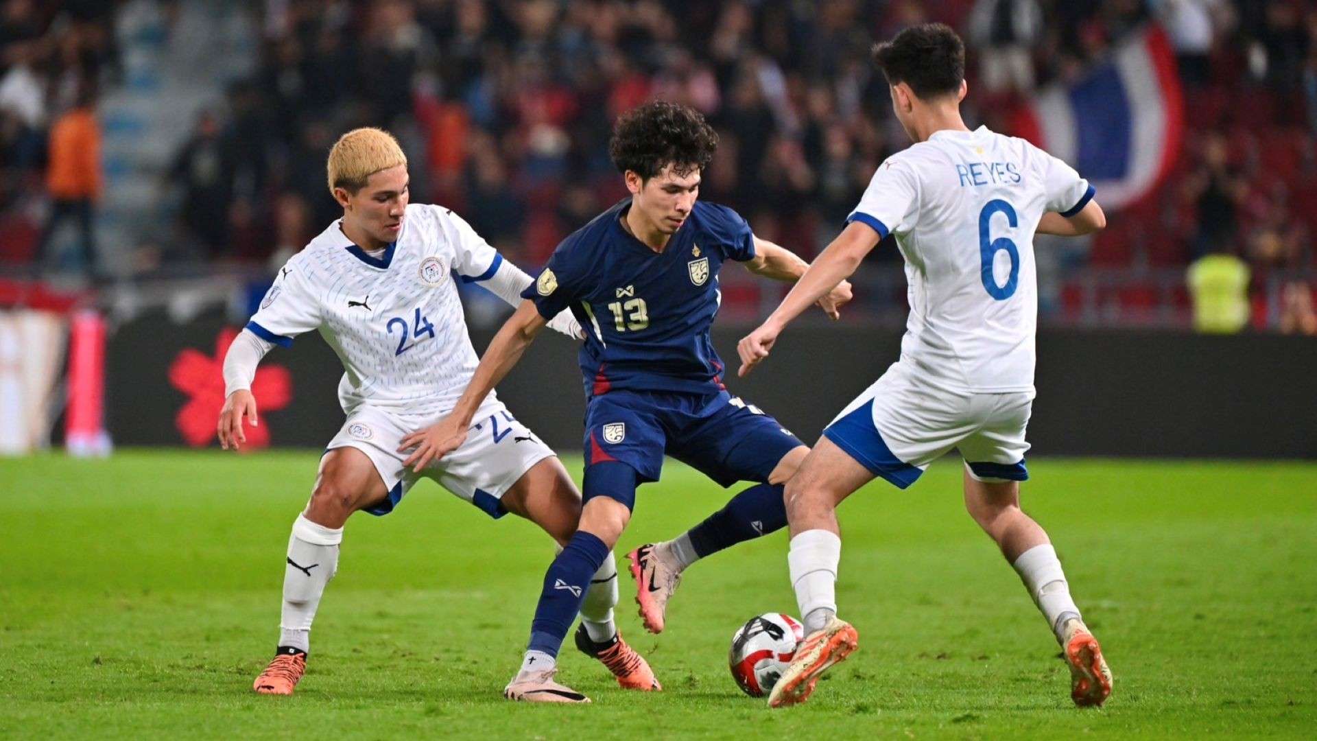 马的表现将 马的表现将