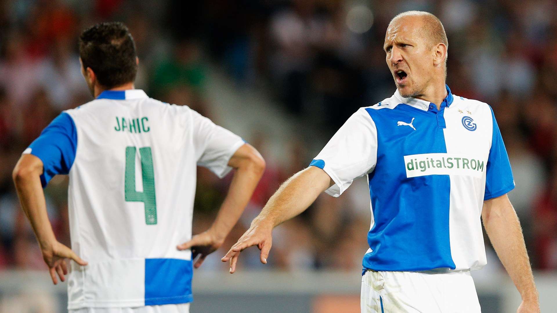 动机来看 动机来看