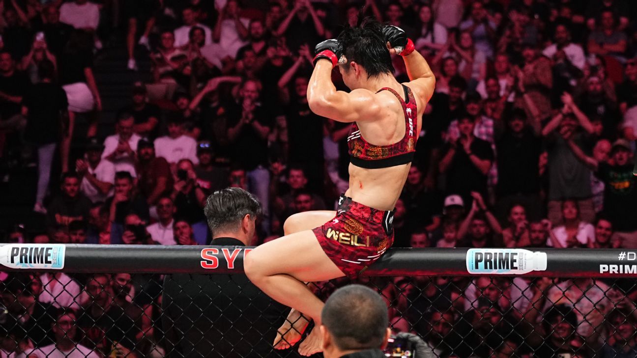 影响与前景 影响与前景